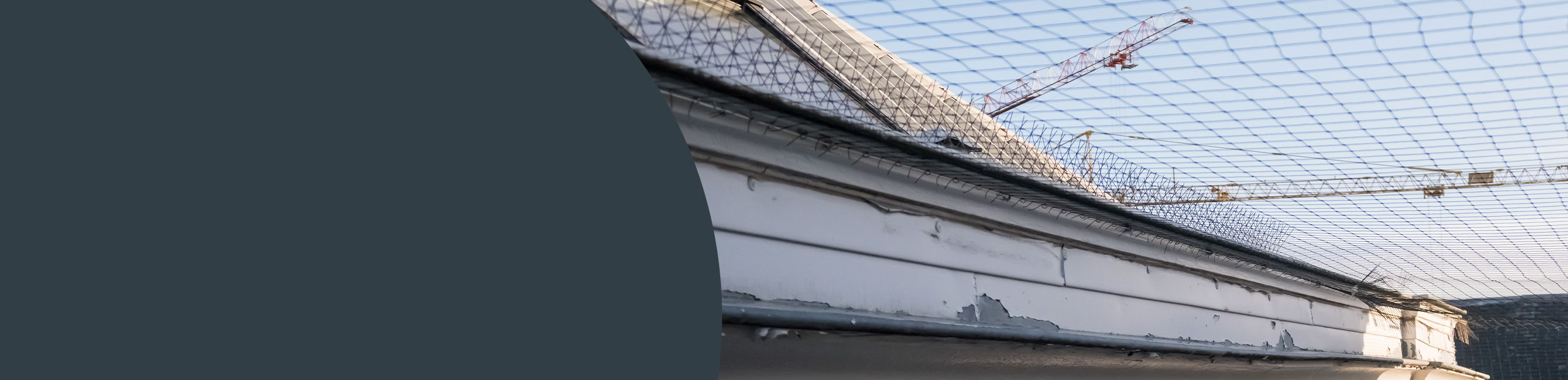 Bird Netting Company - Hammersmith & Fulham