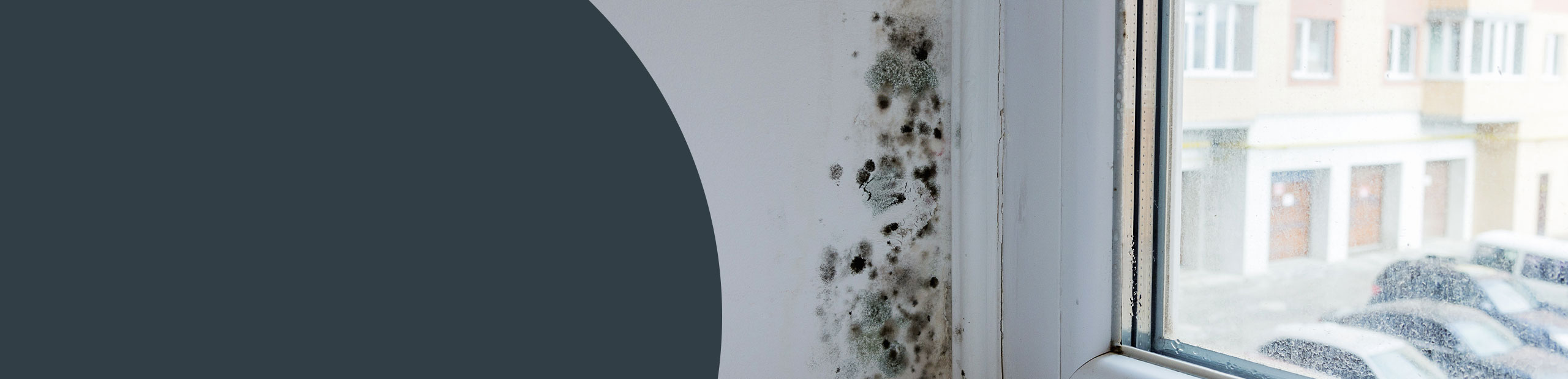 Mould Cleaning - Greenwich