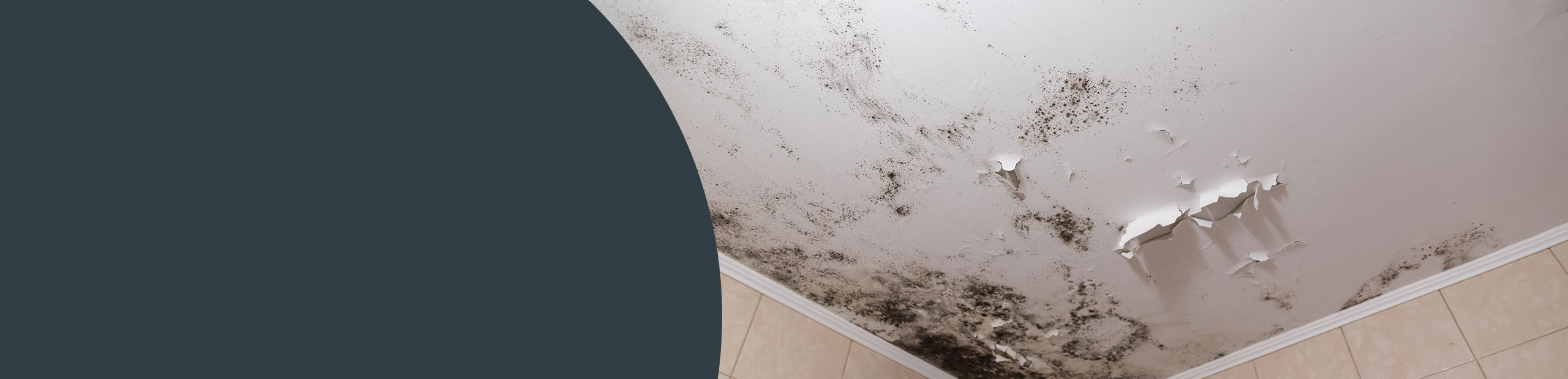 Mould Cleaning - Welwyn Garden City