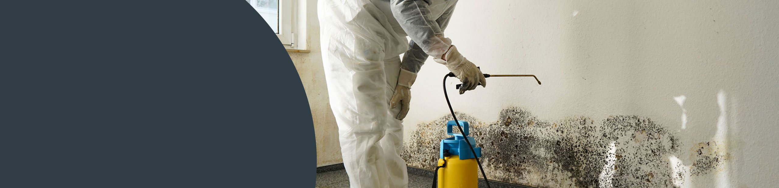 Mould Remediation East Sussex