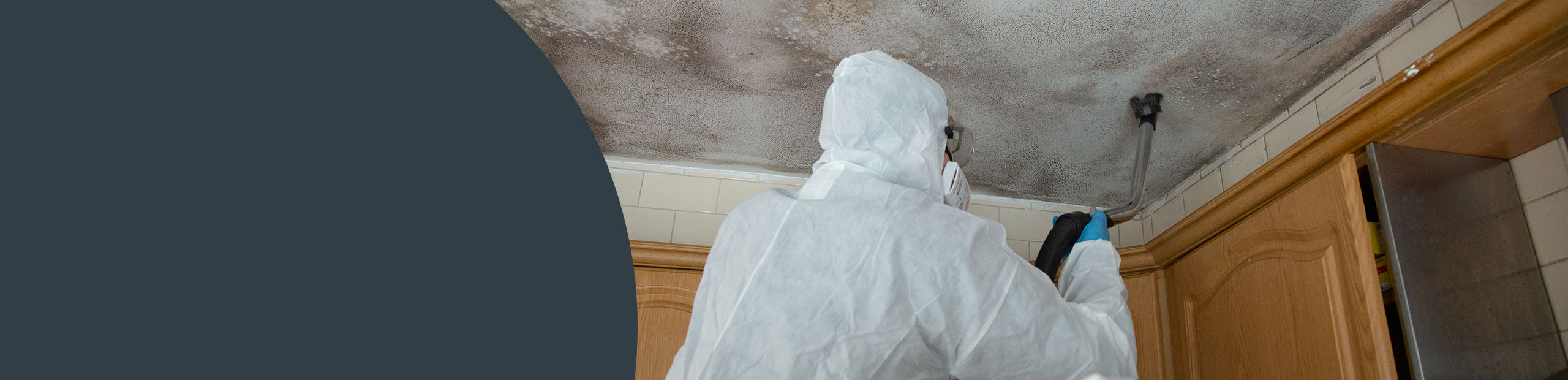 Mould Remediation Kent