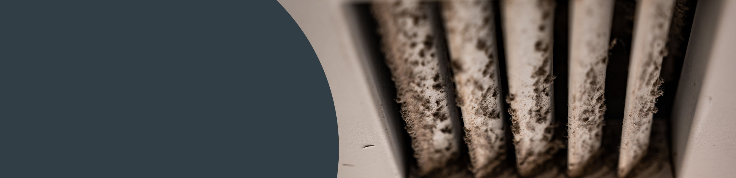 Mould Removal - Bilborough